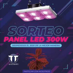 sorteo_Mesa de trabajo 1